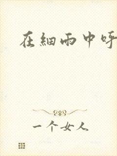在细雨中呼喊