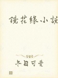 镜花缘小说