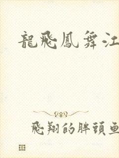 龙飞凤舞江一龙