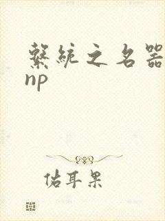 系统之名器攻略np