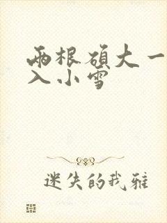 两根硕大一起挤入小雪