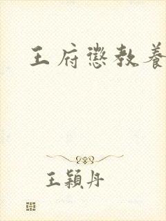 王府惩教养日常