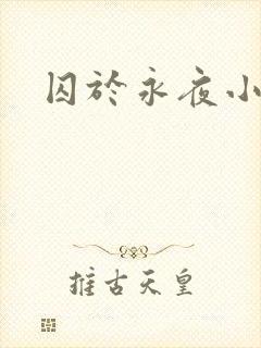 囚于永夜小说