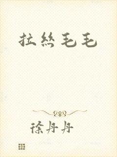 拉丝毛毛