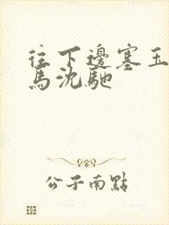 往下边塞玉器骑马沈驰