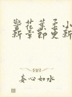 警花叶柔小说最新章节更新