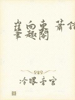 崔向东 萧错 笔趣阁