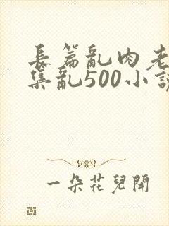 长篇乱肉老师合集乱500小说