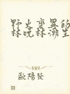 野火变异的父爱林晚林潮生