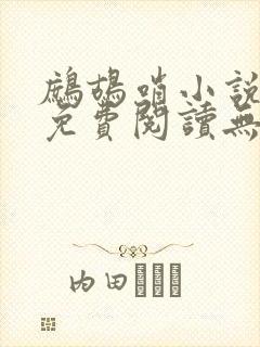 鹧鸪哨小说网站免费阅读无弹窗