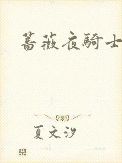 蔷薇夜骑士