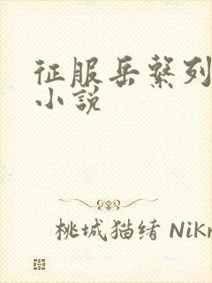 征服岳系列短篇小说