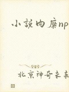 小说肉糜np