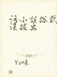 污小说总裁整夜没拔出