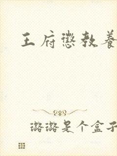 王府惩教养日常