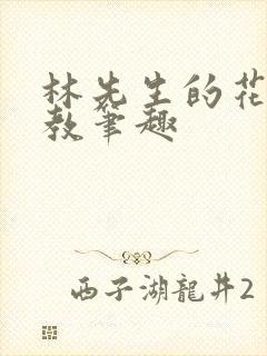 林先生的花式管教笔趣