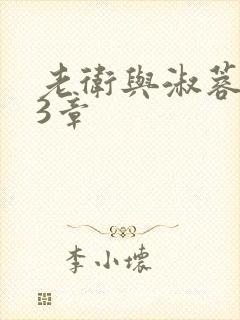 老卫与淑蓉第13章