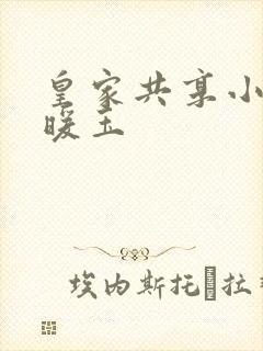 皇家共享小公主暖玉