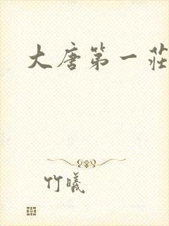 大唐第一庄