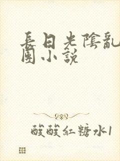 长日光阴乱作一团小说