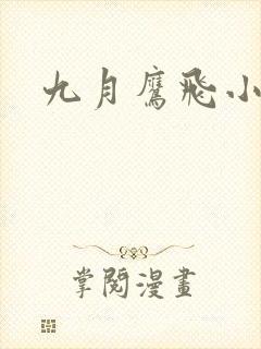 九月鹰飞小说