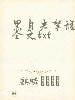 黑月光拿稳小说全文txt