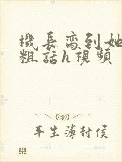 机长脔到她哭h粗话h视频