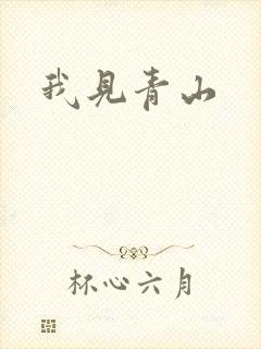 我见青山