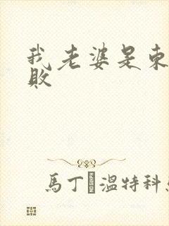 我老婆是东方不败