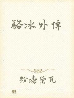 骆冰外传