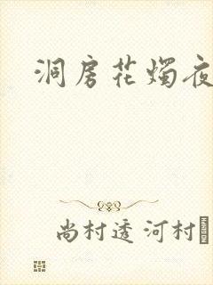 洞房花烛夜小说