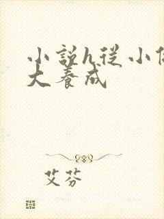 小说h从小做到大养成