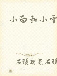小白和小雪