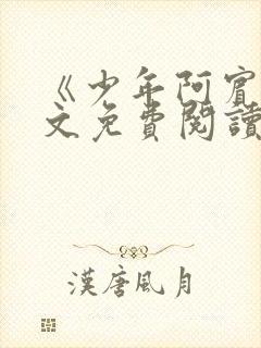 《少年阿宾》全文免费阅读