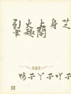 引火上身芝麻糖笔趣阁