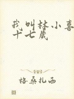 我叫林小喜今年十七岁