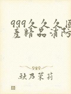 999久久久国产精品消防器材