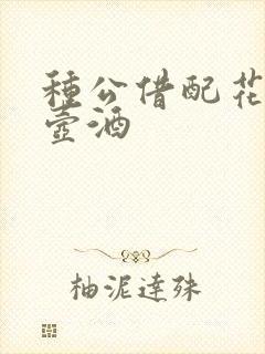 种公借配花间一壶酒