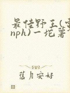 最佳野王(电竞nph)一坨薯饼