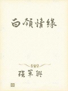 白领情缘