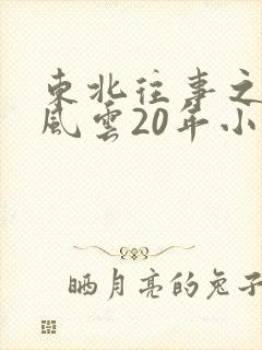 东北往事之黑道风云20年小说