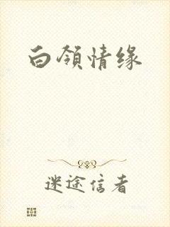 白领情缘
