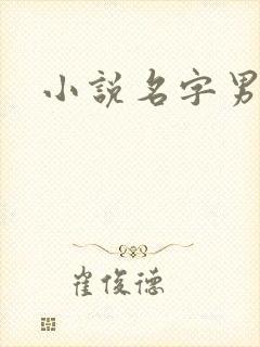 小说名字男生