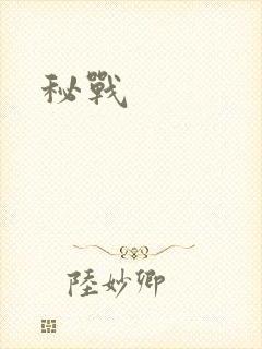 秘战