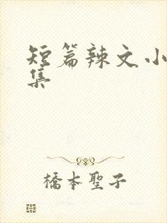 短篇辣文小说合集