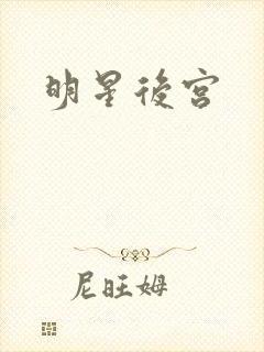 明星后宫