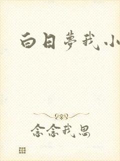 白日梦我小说