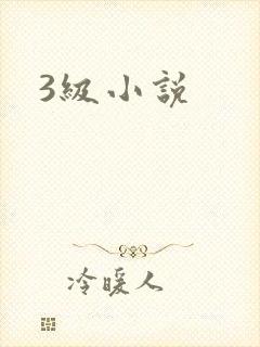 3级小说