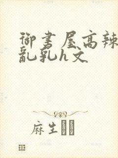 御书屋高辣h文乱乳h文