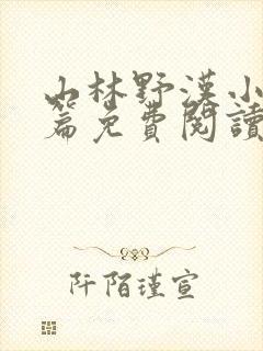 山林野汉小说全篇免费阅读